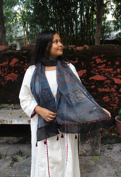 Ajrakh Print Kota Doriya Stoles