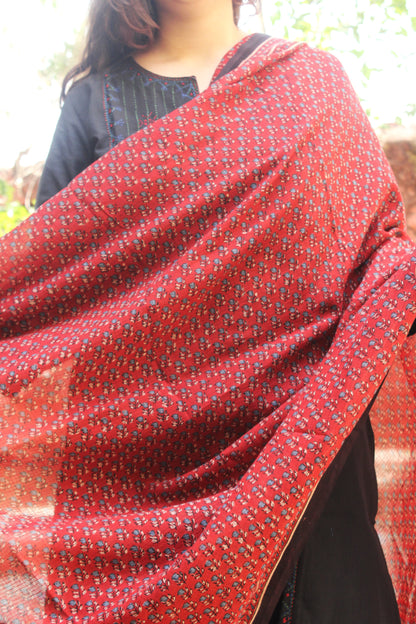 Red Ajrakh-Inspired kota Doriya Dupatta
